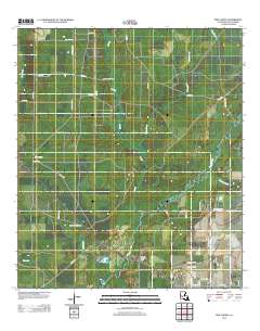 Pine Chapel 2012 topographic map thumbnail