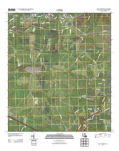 Saint Tammany 2012 topographic map thumbnail
