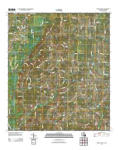 Spring Creek 2012 topographic map thumbnail