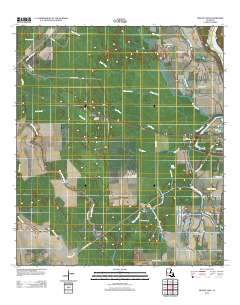 Swayze Lake 2012 topographic map thumbnail
