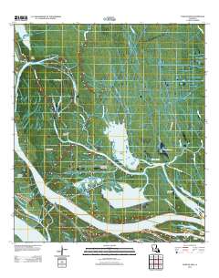 Tiger Island 2012 topographic map thumbnail