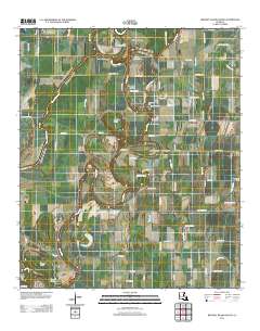 Whitney Island South 2012 topographic map thumbnail