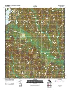 Womack 2012 topographic map thumbnail