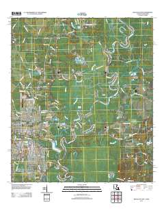 Bogalusa East 2012 topographic map thumbnail