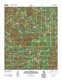 Bellwood 2012 topographic map thumbnail