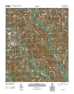 Decatur 2012 topographic map thumbnail