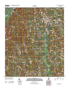 Bay Springs 2012 topographic map thumbnail