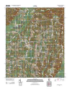 Caledonia 2012 topographic map thumbnail