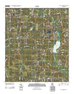 Lake Tangipahoa 2012 topographic map thumbnail