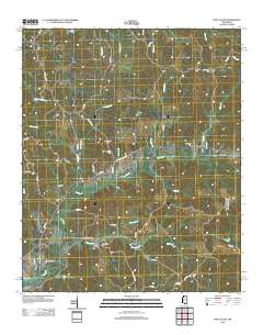 Pine Valley 2012 topographic map thumbnail