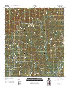 Pinckneyville 2012 topographic map thumbnail