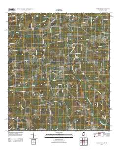 Tylertown SE 2012 topographic map thumbnail