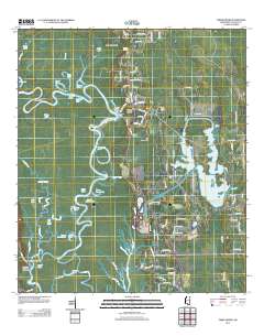 Three Rivers 2012 topographic map thumbnail
