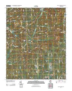 Pleasant Ridge 2012 topographic map thumbnail