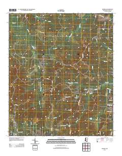 Smyrna 2012 topographic map thumbnail