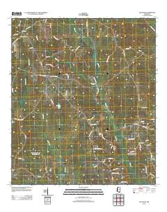 Savannah 2012 topographic map thumbnail