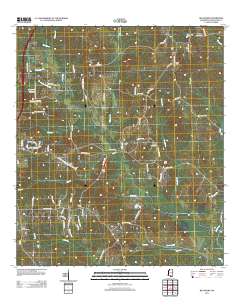 Big Swamp 2012 topographic map thumbnail