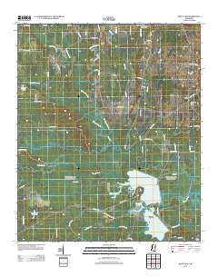 Bluff Lake 2012 topographic map thumbnail