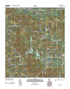 Daleville 2012 topographic map thumbnail