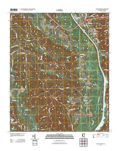 Beans Ferry 2012 topographic map thumbnail