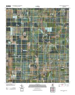 Bear Gut Bayou 2012 topographic map thumbnail