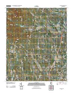Baldwyn 2012 topographic map thumbnail