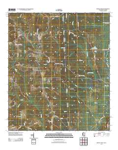 Brown Town 2012 topographic map thumbnail