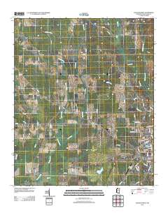 Houston West 2012 topographic map thumbnail