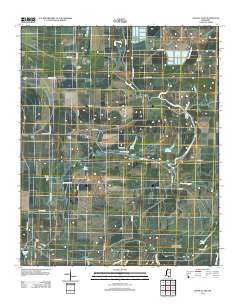 Walnut Lake 2012 topographic map thumbnail
