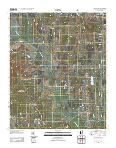 Buena Vista 2012 topographic map thumbnail