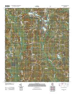 Silver Run 2012 topographic map thumbnail