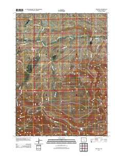 Pine Hill 2012 topographic map thumbnail