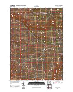 Bush Butte 2012 topographic map thumbnail