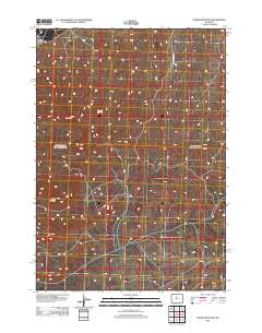 Cedar Mountain 2012 topographic map thumbnail