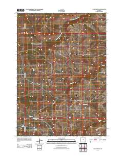 Turk Springs 2012 topographic map thumbnail