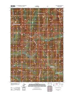 Pilot Peak 2012 topographic map thumbnail