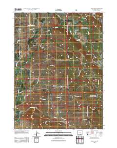 Ryan Park 2012 topographic map thumbnail