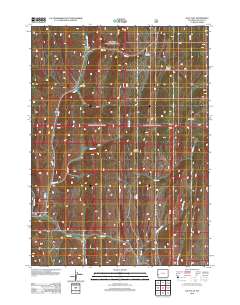 Salt Flat 2012 topographic map thumbnail