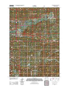 Rosies Ridge 2012 topographic map thumbnail