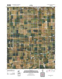 Pleasant Plains 2012 topographic map thumbnail