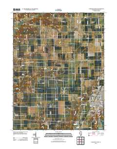 Carlinville West 2012 topographic map thumbnail