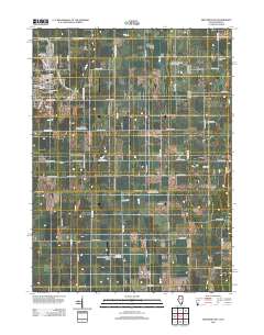 Beecher East 2012 topographic map thumbnail