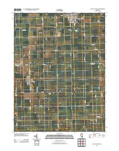 Delavan South 2012 topographic map thumbnail