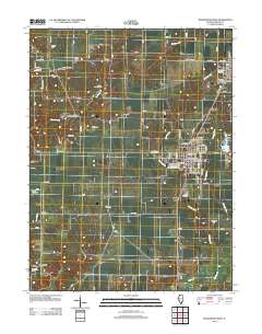 Roodhouse West 2012 topographic map thumbnail