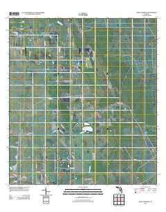 Jones Hammock 2012 topographic map thumbnail