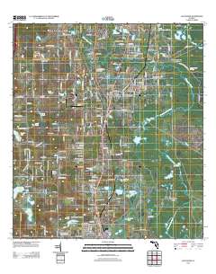 Lacoochee 2012 topographic map thumbnail