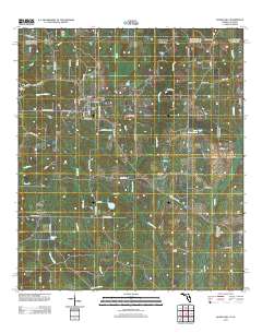 Laurel Hill 2012 topographic map thumbnail