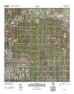 Lecanto 2012 topographic map thumbnail