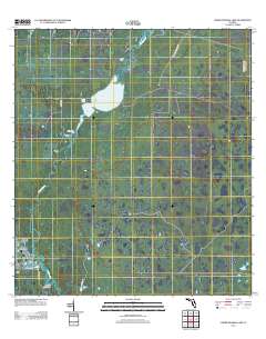 Lower Myakka Lake 2012 topographic map thumbnail
