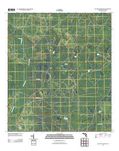Mallory Swamp NW 2012 topographic map thumbnail